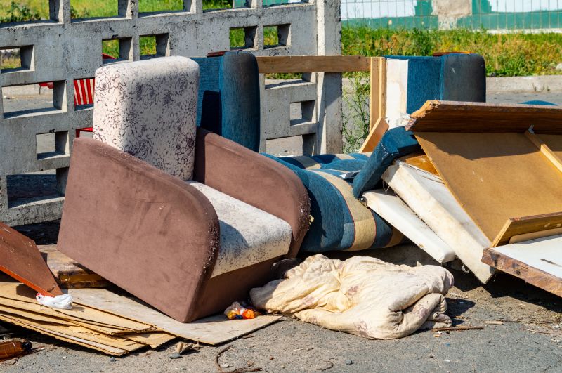 Sofa Bed Removal in Sacramento, CA