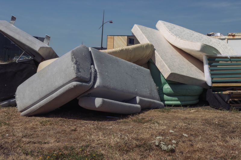 Sofa Bed Removal in Sacramento, CA